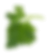 Shape 4